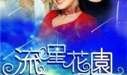 偶像电视剧,梦想与现实的交织